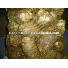 China fresh taro price